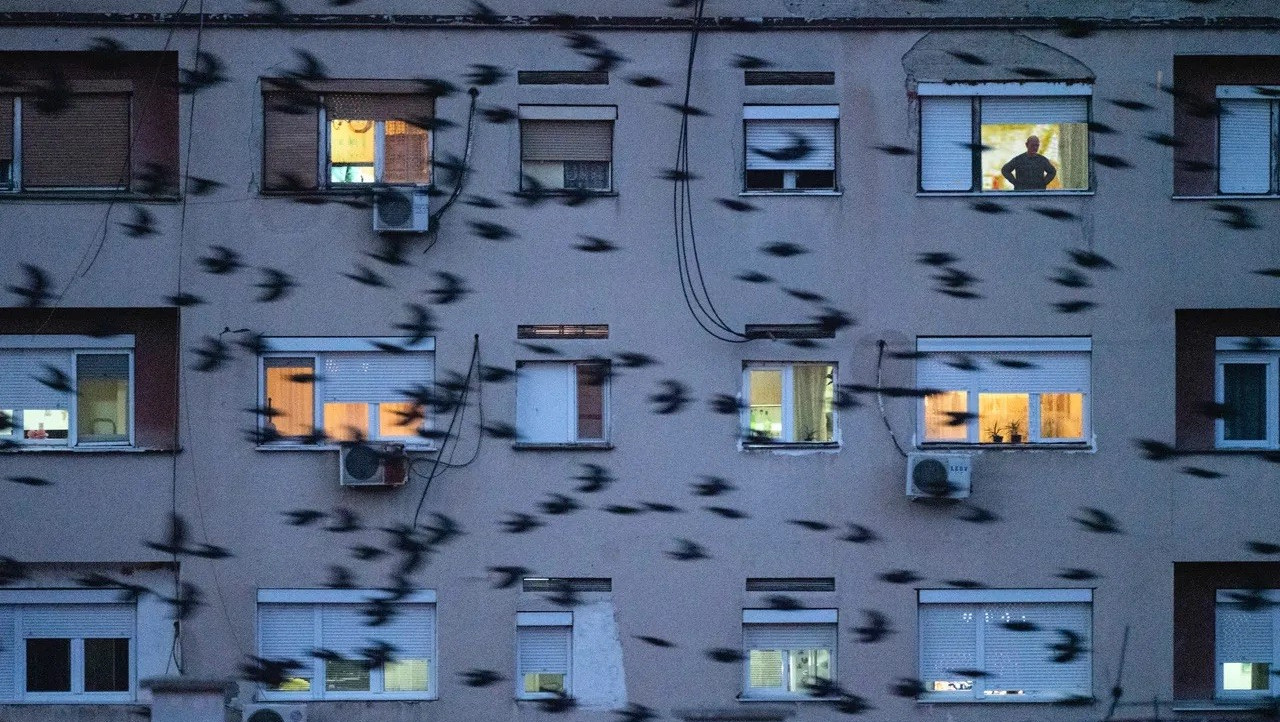 Jonas Bendiksen - The Book of Vales