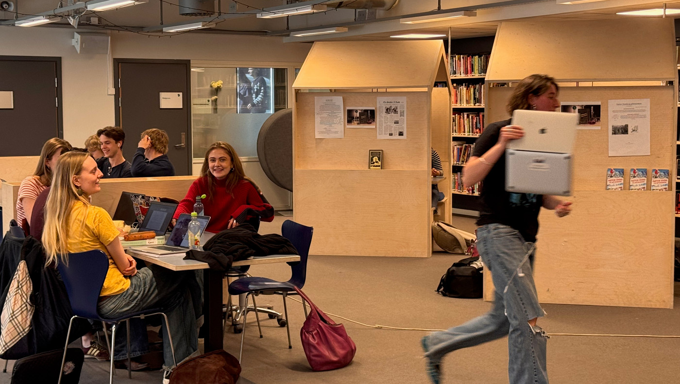 Elever i bibliotek
