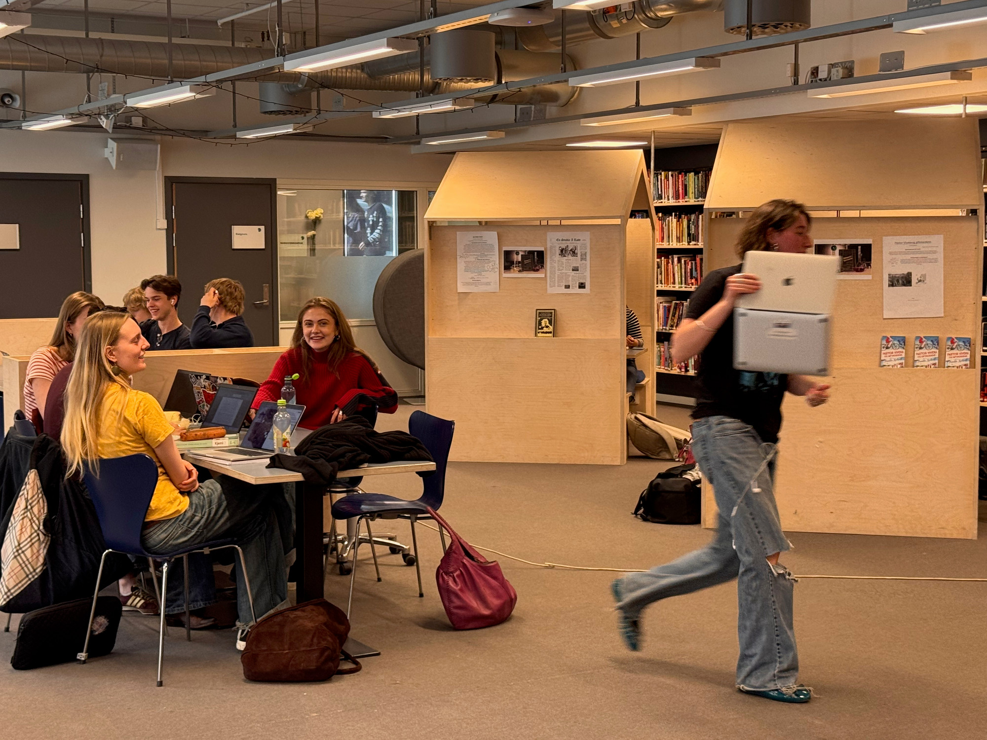 Elever i bibliotek